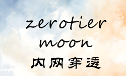 Featured image of post 内网穿透-异地组网